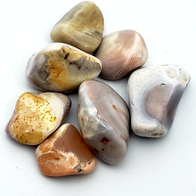 Load image into Gallery viewer, Botswana Agate