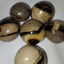 Load image into Gallery viewer, Septarian